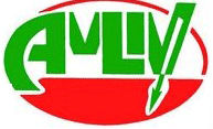logo amliv