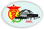 logo amel308x204